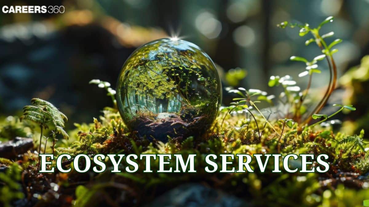 Ecosystem Services: Definition, History, Importance, Types, Examples